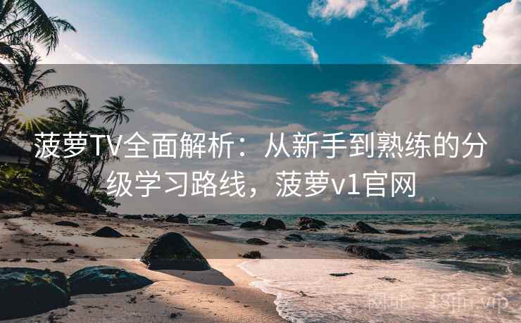 菠萝TV全面解析：从新手到熟练的分级学习路线，菠萝v1官网