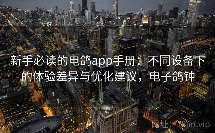 新手必读的电鸽app手册：不同设备下的体验差异与优化建议，电子鸽钟