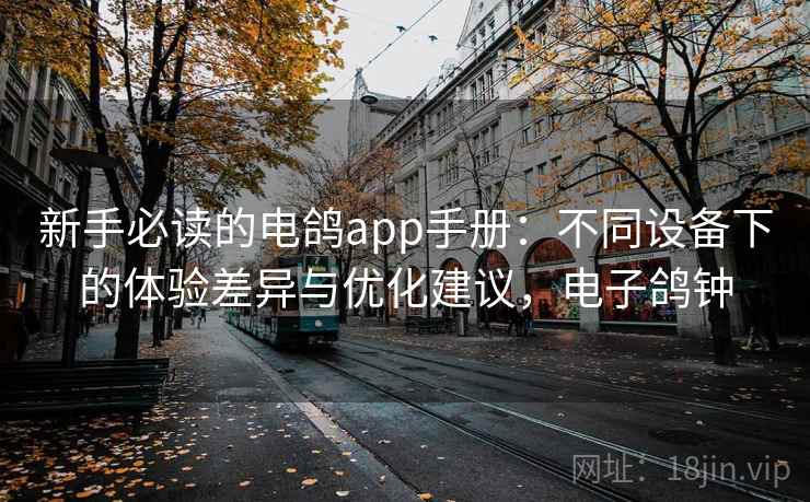 新手必读的电鸽app手册：不同设备下的体验差异与优化建议，电子鸽钟