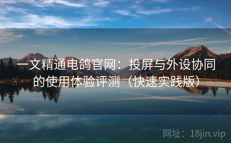 一文精通电鸽官网：投屏与外设协同的使用体验评测（快速实践版）