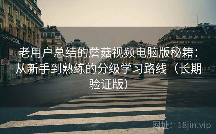 老用户总结的蘑菇视频电脑版秘籍：从新手到熟练的分级学习路线（长期验证版）