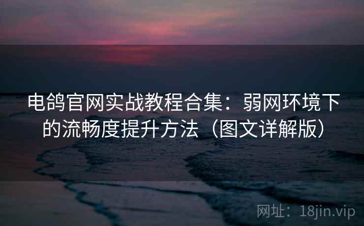 电鸽官网实战教程合集：弱网环境下的流畅度提升方法（图文详解版）