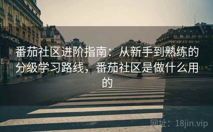 番茄社区进阶指南：从新手到熟练的分级学习路线，番茄社区是做什么用的