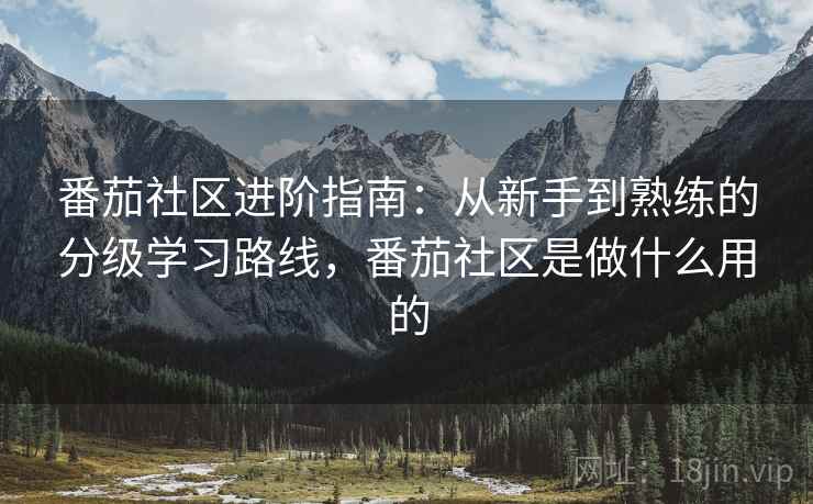 番茄社区进阶指南：从新手到熟练的分级学习路线，番茄社区是做什么用的
