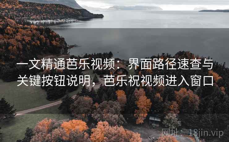 一文精通芭乐视频：界面路径速查与关键按钮说明，芭乐祝视频进入窗口