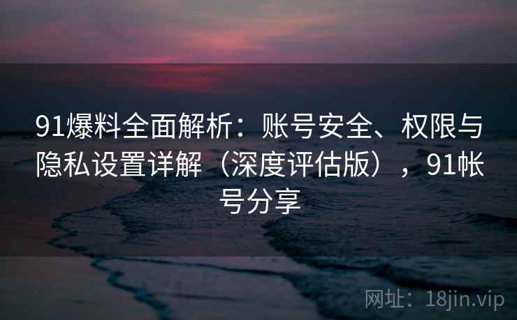 91爆料全面解析：账号安全、权限与隐私设置详解（深度评估版），91帐号分享