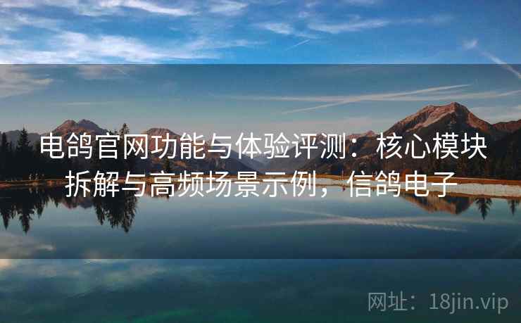 电鸽官网功能与体验评测：核心模块拆解与高频场景示例，信鸽电子