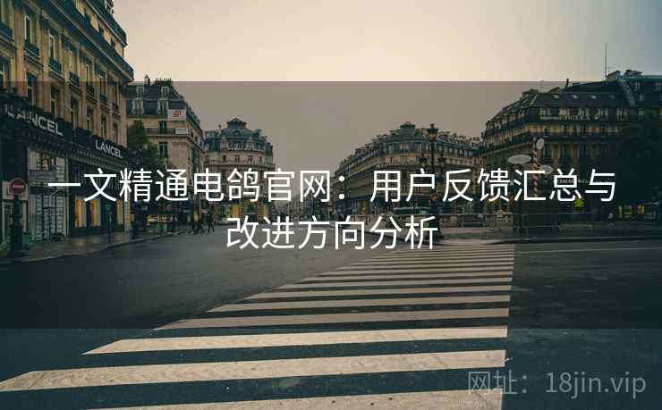 一文精通电鸽官网：用户反馈汇总与改进方向分析