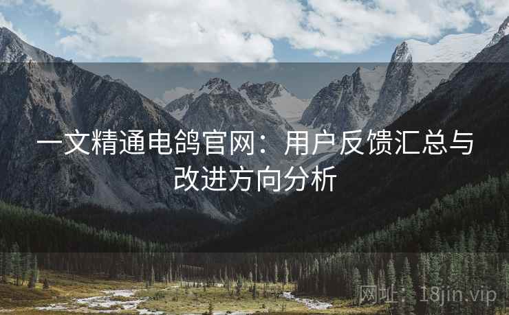 一文精通电鸽官网：用户反馈汇总与改进方向分析