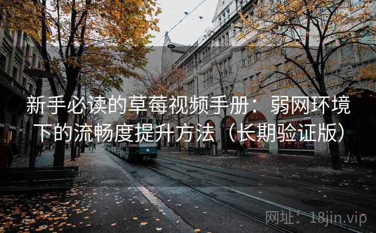 新手必读的草莓视频手册：弱网环境下的流畅度提升方法（长期验证版）