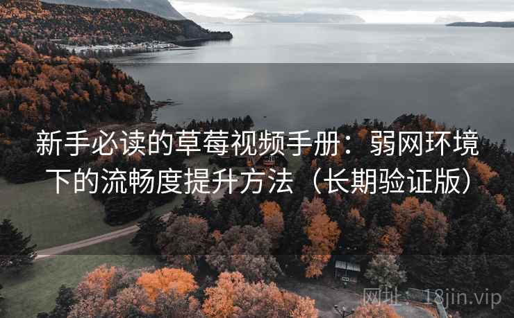 新手必读的草莓视频手册：弱网环境下的流畅度提升方法（长期验证版）