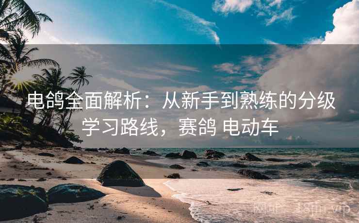 电鸽全面解析:从新手到熟练的分级学习路线,赛鸽 电动车 电鸽全面解析:从新手到熟练的分级学习路线,赛鸽 电动车