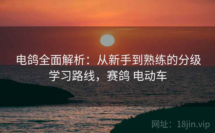 电鸽全面解析:从新手到熟练的分级学习路线,赛鸽 电动车 电鸽全面解析:从新手到熟练的分级学习路线,赛鸽 电动车